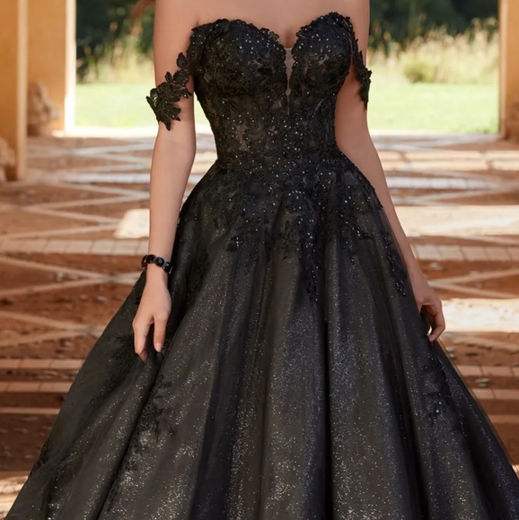 Black Sophia Tolli Wedding Dress - Picture 6 of 8